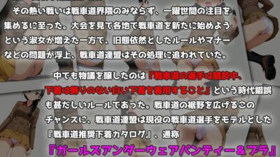 Girls underwear panties and bra 知波単学園編 エロすぎるやろ…
