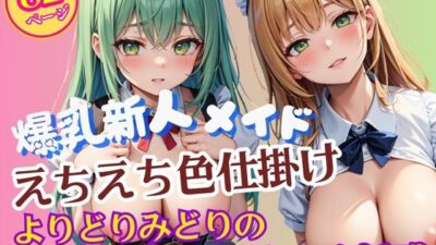 よりどりみどりのエッチな爆乳新人メイドさんプロファイルこんなの射精不可避ｗ