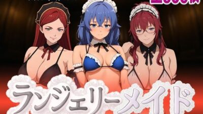 ランジェリーメイド 無職編 おすすめ作品！！