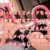 うちのえっちな専属ちっぱいネコミミメイドさん 今夜のオカズに！！