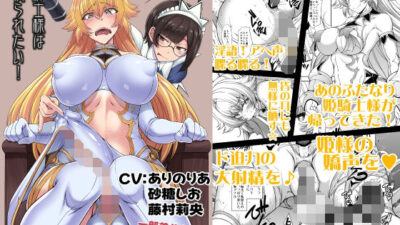 姫騎士様は視られたい！ボイスコミック版 今夜のオカズに！！