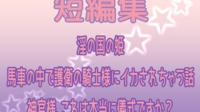 短編集 〜淫の国の姫・馬車の中で護衛の騎士様にイカされちゃう話・神官様、これは本当に儀式ですか?〜 今夜のオカズに!!