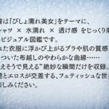 びしょ濡れ美女図鑑 ＃1白シャツ編 もうたまらんｗ