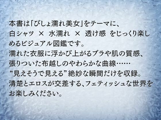 びしょ濡れ美女図鑑 ＃1白シャツ編 もうたまらんｗ