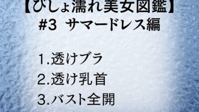 びしょ濡れ美女図鑑 ＃3 サマードレス編 こんなの射精不可避ｗ