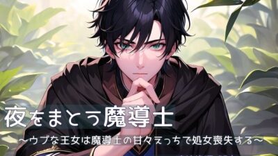 夜をまとう魔導士 〜ウブな王女は魔導士の甘々えっちで処女喪失する〜 今夜のオカズに!!
