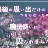 最後の思い出だけのつもりだったのに片想いしていた魔法使いにねっとり愛されて囚われました 今夜のオカズに！！
