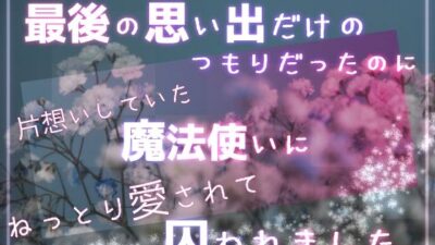 最後の思い出だけのつもりだったのに片想いしていた魔法使いにねっとり愛されて囚われました 今夜のオカズに!!