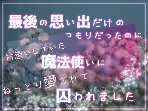 最後の思い出だけのつもりだったのに片想いしていた魔法使いにねっとり愛されて囚われました 今夜のオカズに！！
