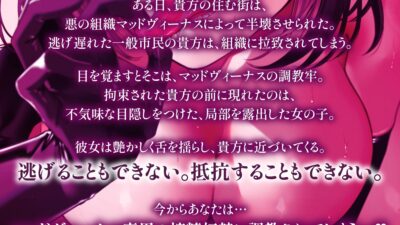 【逆レ】フェラ特化戦闘員の快楽調教〜悪の組織の搾精奴○に調教される貴方〜 エロすぎるやろ…