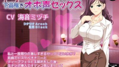 妖艶なドスケベお姉さんと下品喘ぎオホ声セックス 今夜のオカズに！！