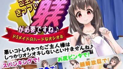 ご主人様、きっつい躾が必要ですね♪  全作まとめ買いセット 今夜のオカズに！！