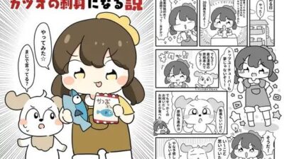 かつおぶしまるめたら鰹の刺身になる説 もうたまらんｗ