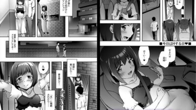 もっと中出し！パパチンJunkie  〜2回目妊娠ボテなでH 今夜のオカズに！！