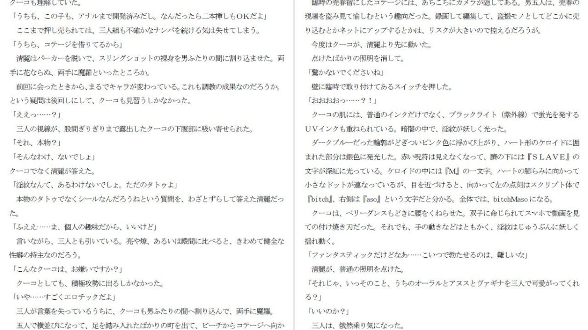 800万円のDVR:3惨虐搾取編 もうたまらんｗ