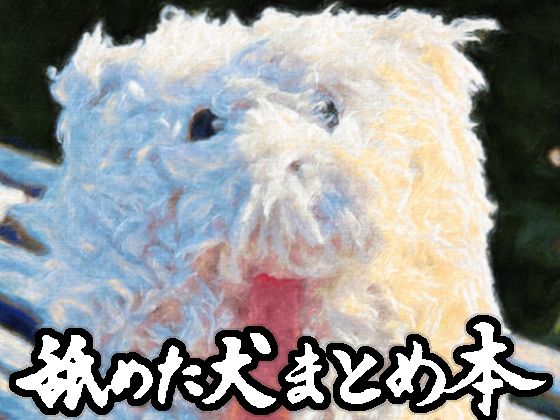 舐めた犬まとめ本 こんなの射精不可避ｗ