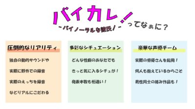 相反教師-両耳からの逆ハーレム指導！-どっちの言うこと聞いたらイイの！？ ASMR/バイノーラル教師/年上/耳舐め/乱交/3P/NTR/脳破壊/催●音声/低音ボイス もうたまらんｗ