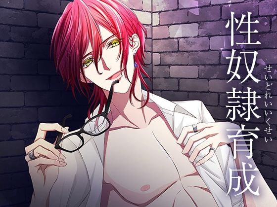 性奴●育成 今夜のオカズに！！