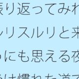 振り返ってみればスルリスルリと来たようにも思える夜  今後は慣れた道でも・・・・そしてまだまだ・・・ こんなの射精不可避ｗ