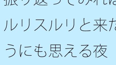 振り返ってみればスルリスルリと来たようにも思える夜  今後は慣れた道でも・・・・そしてまだまだ・・・ こんなの射精不可避ｗ