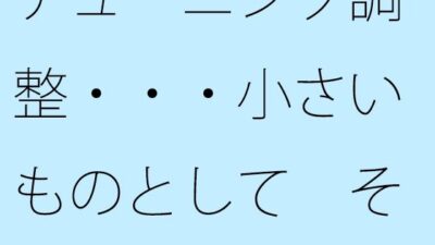 チューニング調整・・・小さいものとして それほど広くない木箱の中での周波数エンタ 今夜のオカズに!!