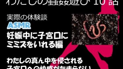 （ASMR）わたしの蟲姦遊び 第10話 妊娠中、子宮口にミミズを入れる編 音声 おすすめ作品！！