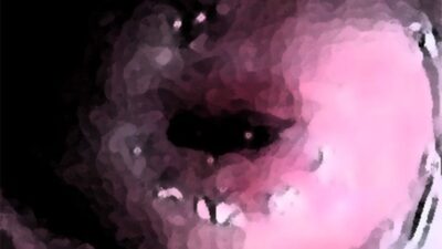 わたしの蟲姦遊び 第11話 妊娠中、子宮口にゴキブリを入れる編 音声（ASMR） エロエロSEX！！