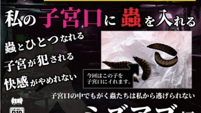 私の子宮口の中に蟲を入れる 第4話 近所の田んぼから捕ってきたミズアブの幼虫編 思わず昇！！