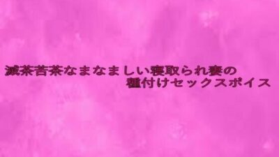 滅茶苦茶なまなましい寝取られ妻の種付けセックスボイス 今夜のオカズに！！