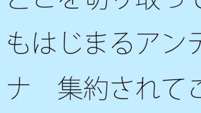 どこを切り取ってもはじまるアンテナ  集約されてこんがらがって寝た昨夜から朝 絶頂の渦に引き込まれる！