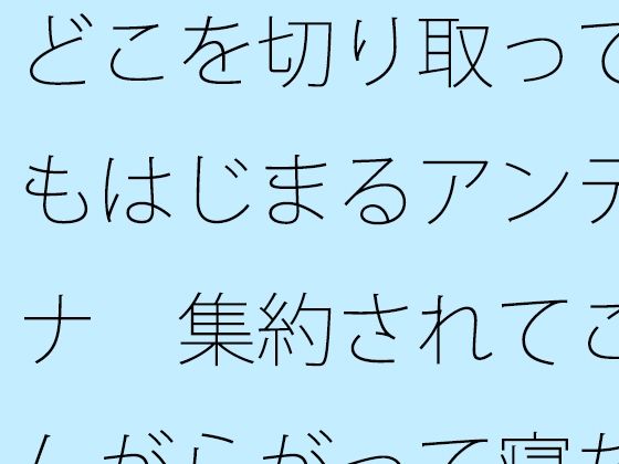 どこを切り取ってもはじまるアンテナ  集約されてこんがらがって寝た昨夜から朝 絶頂の渦に引き込まれる！