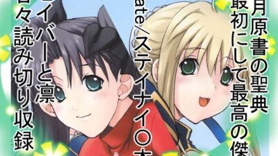 凛&セイバー 究極のプレイwww
