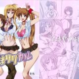 なまリリカル もうたまらんｗ