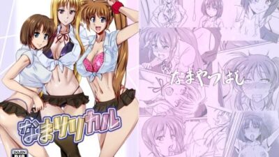 なまリリカル もうたまらんｗ