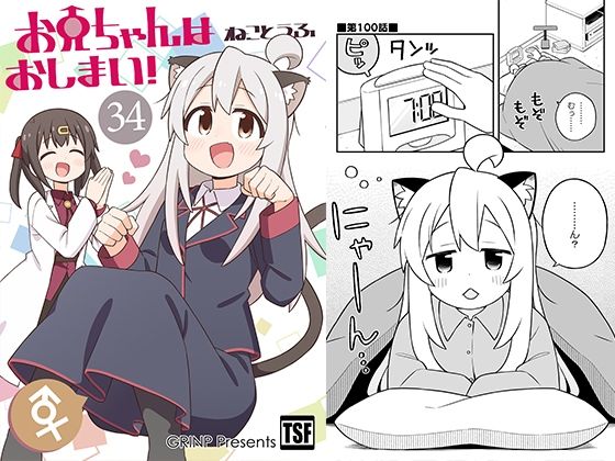 お兄ちゃんはおしまい！34 悶絶♥ノリノリで乱！！