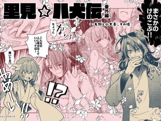 【里見☆八犬伝 番外編 〜毛野と小文吾、その後 〜】まんが16P 今夜のオカズに！！