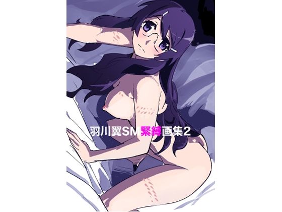羽川翼SM緊縛画集2 こんなの射精不可避ｗ
