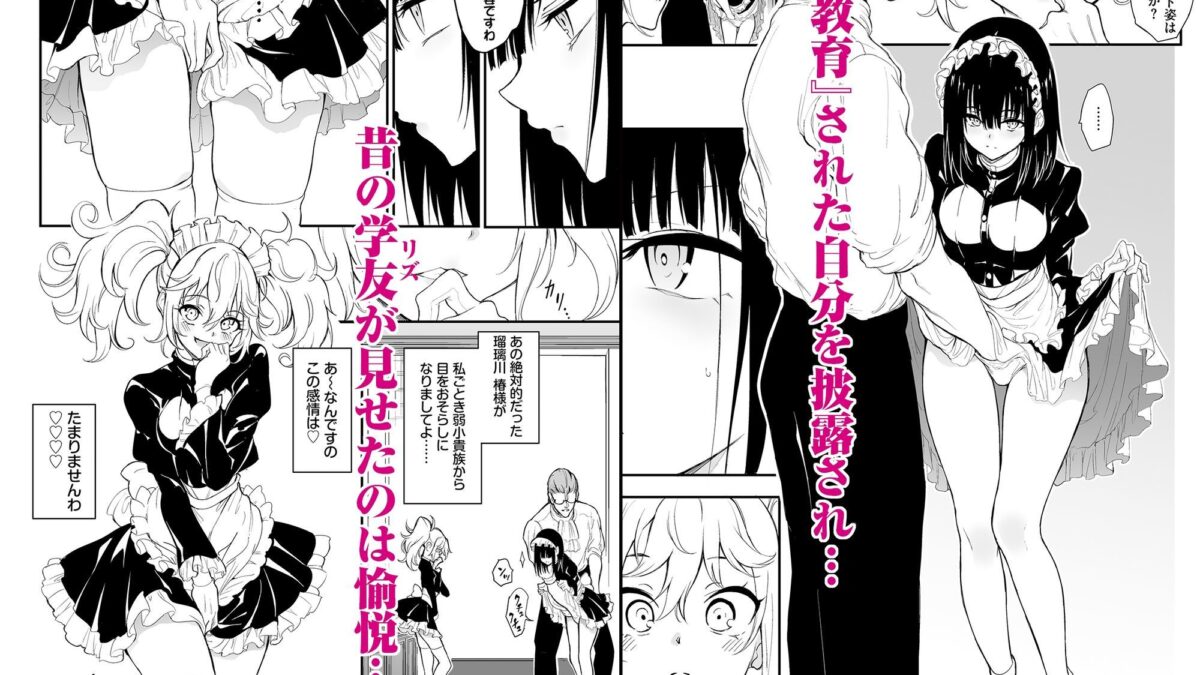 メイド教育8-没落貴族瑠璃川椿- 悶絶♥ノリノリで乱！！