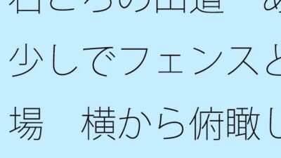 石ころの山道  あと少しでフェンスと広場  横から俯瞰して分かりつつも・・・・ 絶頂の渦に引き込まれる！