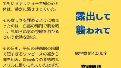 主婦の秘めごと 〜露出して襲われて〜 今夜のオカズに！！