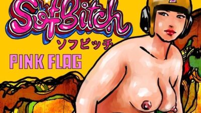 SofBitch（はじめまして価格！） もうたまらんｗ